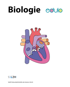 B200ed · edulo · Biologie