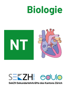 B200ed · edulo · Biologie